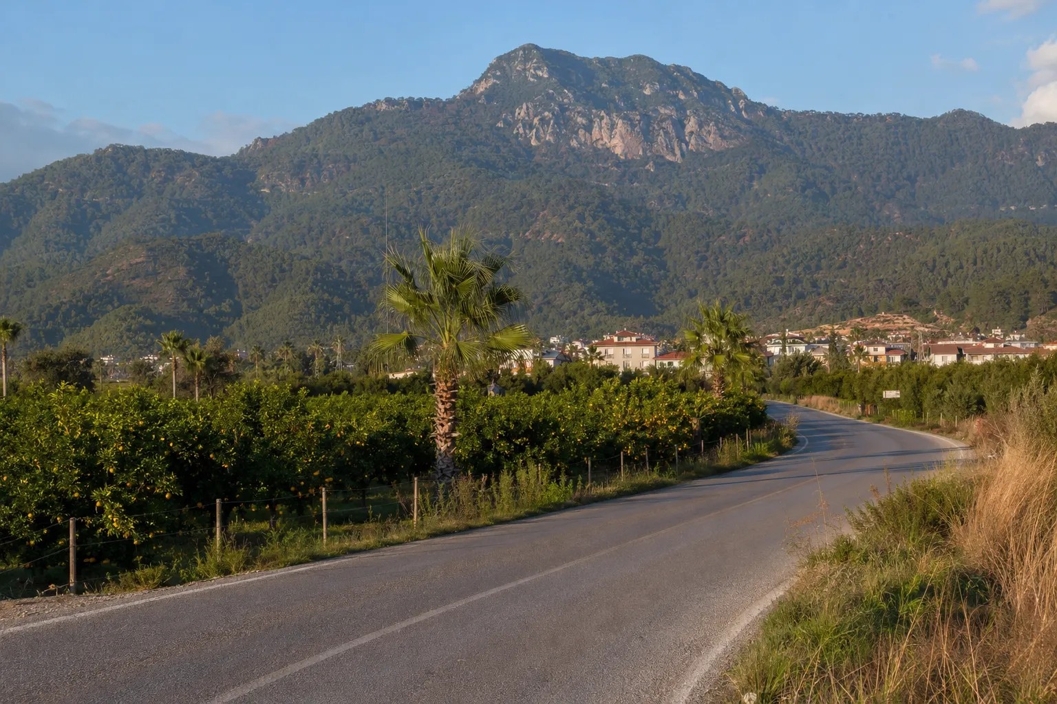 Dalaman Şehir Merkezi