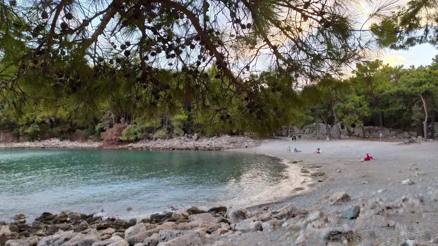 Phaselis harbour and pine coast on an Antalya car hire route